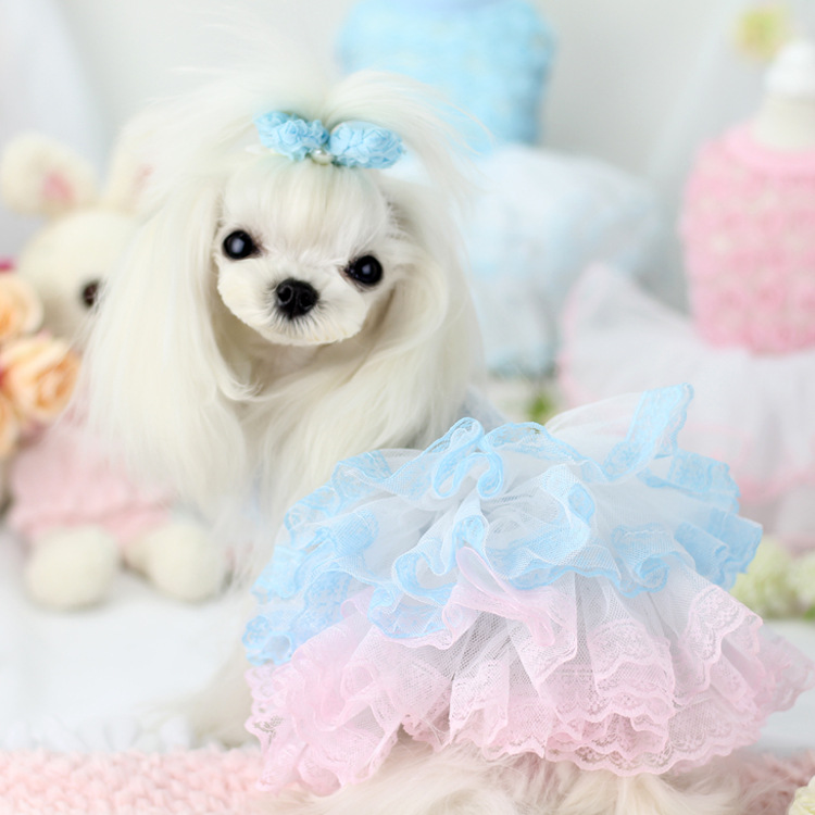 復古の蕾絲蓬蓬公主裙~寵物小仙女裙子！狗狗連衣裙泰迪裙子春夏